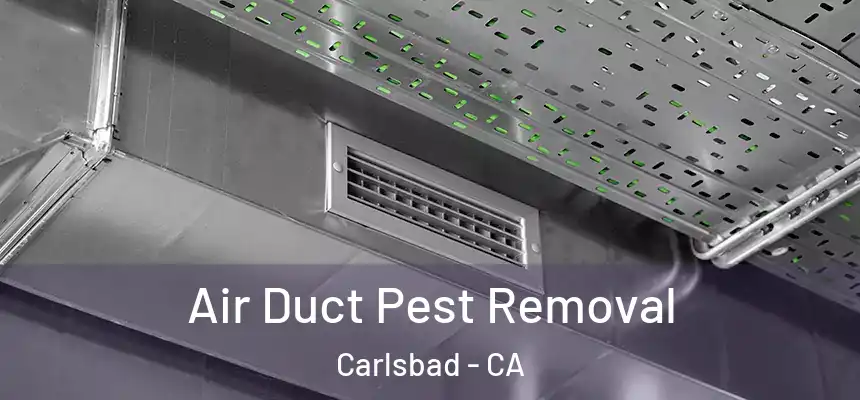 Air Duct Pest Removal Carlsbad - CA