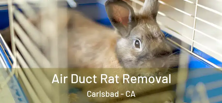 Air Duct Rat Removal Carlsbad - CA