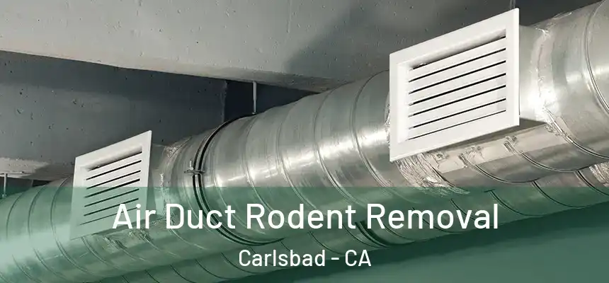 Air Duct Rodent Removal Carlsbad - CA