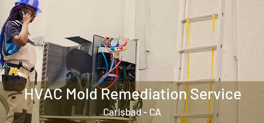  HVAC Mold Remediation Service Carlsbad - CA