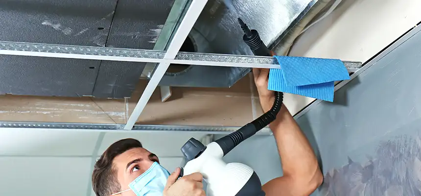 Our Air Duct Rodent Removal Services in Carlsbad, CA