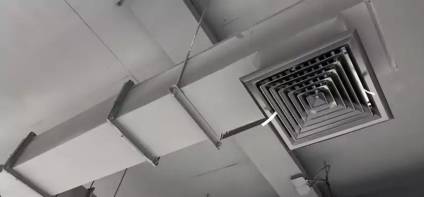 Our Rodent Droppings In Vents Services in Carlsbad, CA