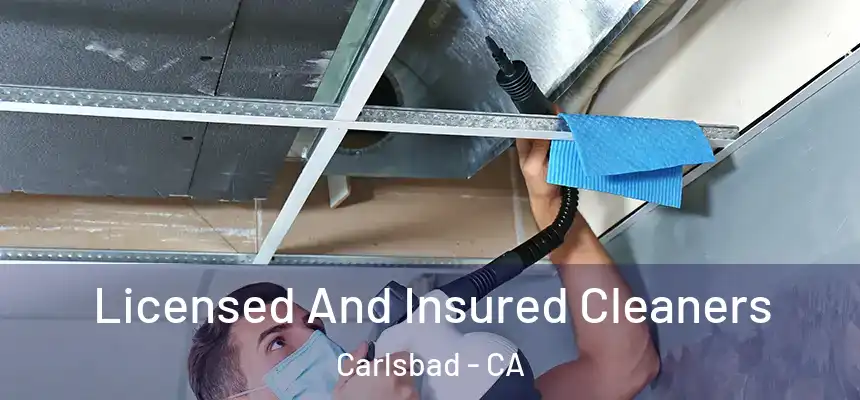  Licensed And Insured Cleaners Carlsbad - CA