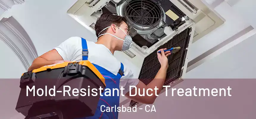 Mold-Resistant Duct Treatment Carlsbad - CA