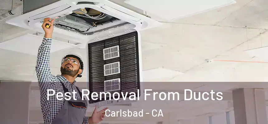  Pest Removal From Ducts Carlsbad - CA