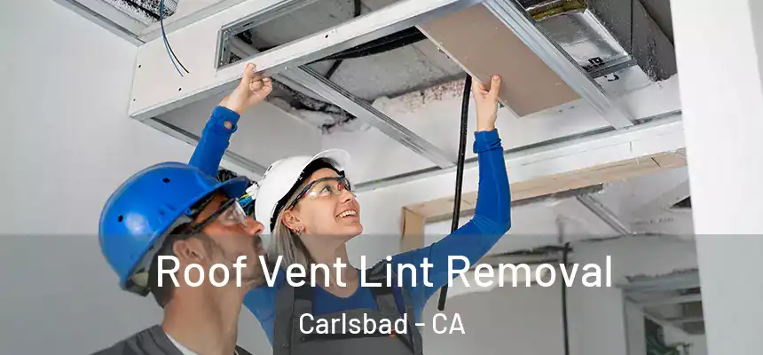 Roof Vent Lint Removal Carlsbad - CA