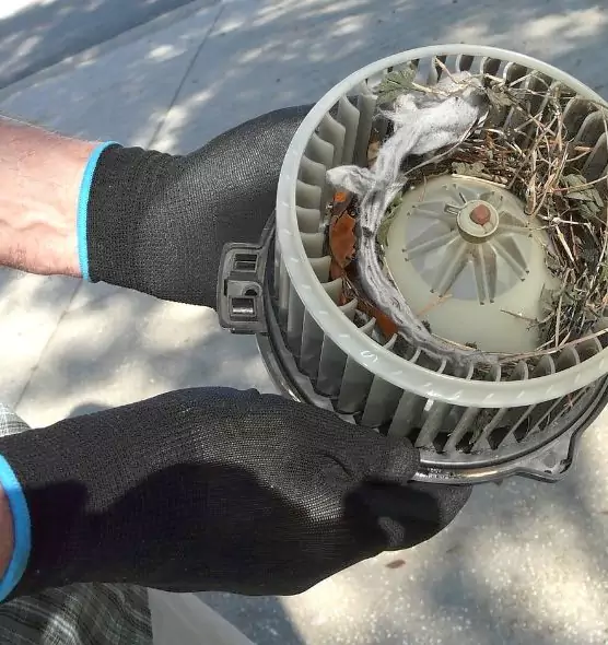 About Air Duct Rat Removal in Carlsbad, CA