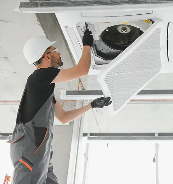 About Air Duct Rodent Removal in Carlsbad, CA