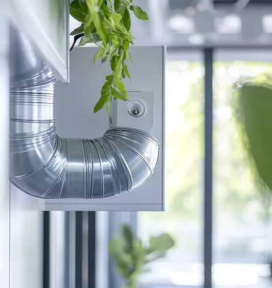 Professional Eco-Friendly Duct Cleaning Services in Carlsbad, CA