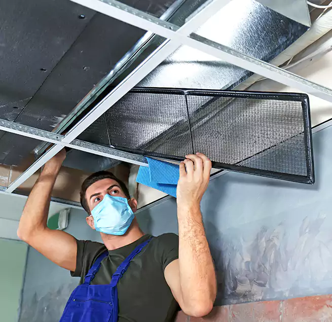 Why Homeowners Businesses Trust Us in Carlsbad, CA