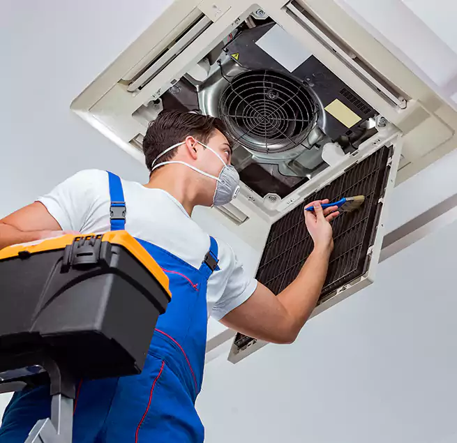 Why Homeowners & Businesses Trust Us in Carlsbad, CA