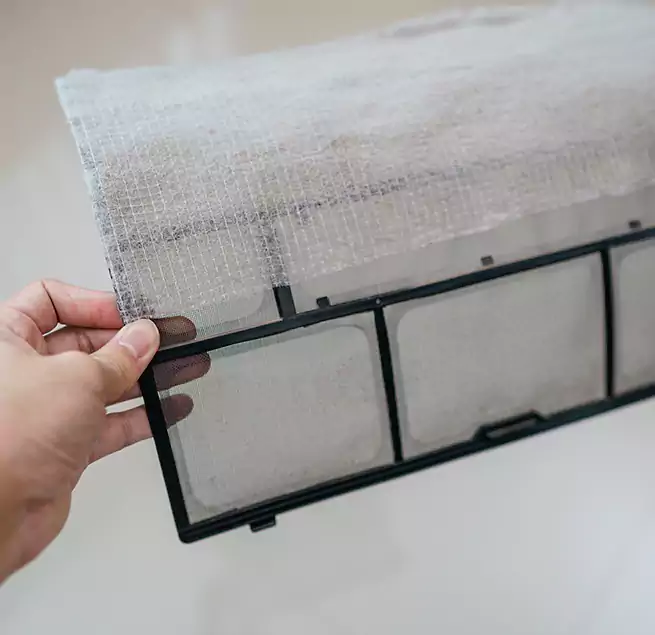 Why Homeowners & Businesses Trust Us in Carlsbad, CA?