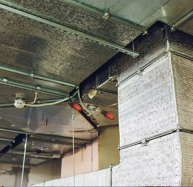 Why Homeowners & Businesses Trust Us Carlsbad, CA?