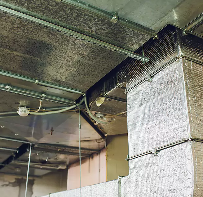 Why Homeowners & Businesses Trust Us in Carlsbad, CA?